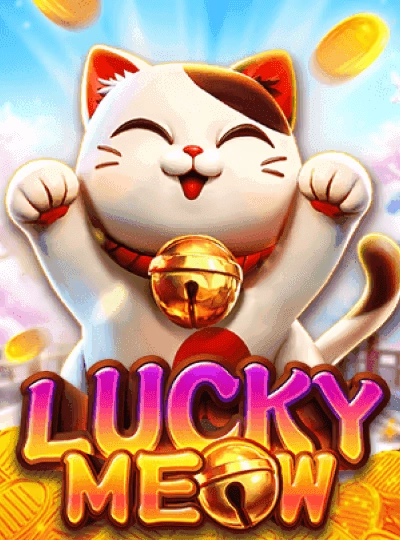 winci winci